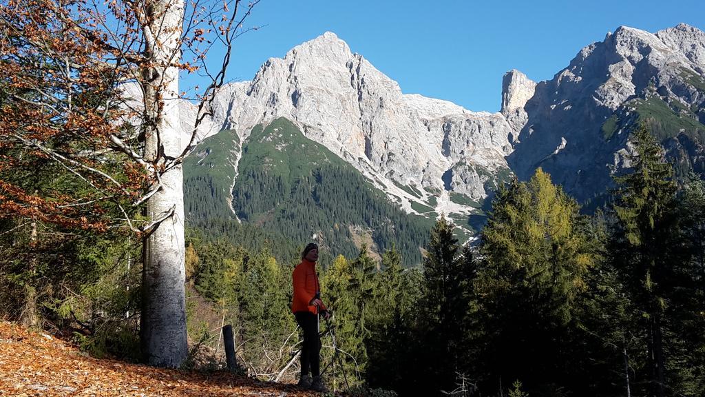 Apartamento Haus Breithornblick Maria Alm am Steinernen Meer Exterior foto